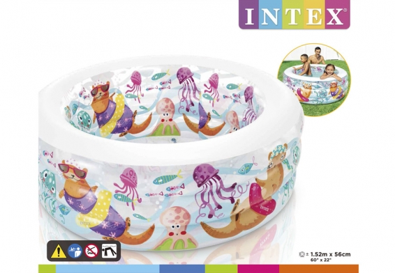   Little Otter Pool Intex 58480NP