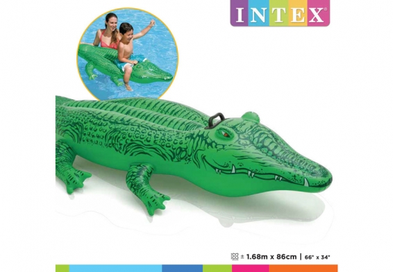    Lil Gator Ride-On Intex 58546NP