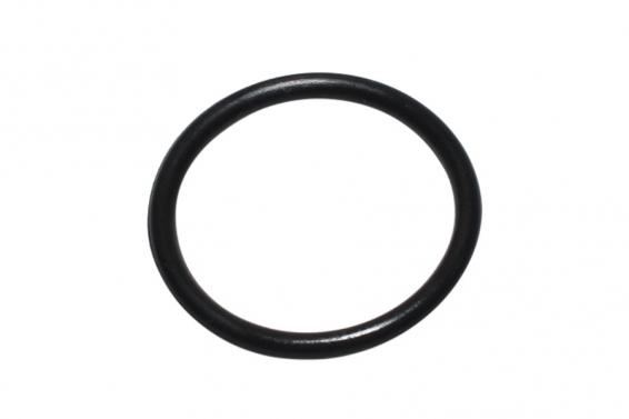 Уплотнительное кольцо Intex 10134