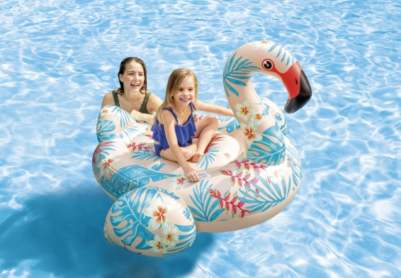   Tropical Flamingo Ride-On Intex 57559NP